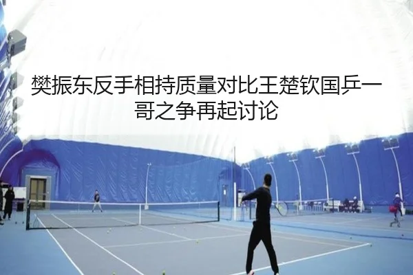 樊振东反手相持质量对比王楚钦国乒一哥之争再起讨论